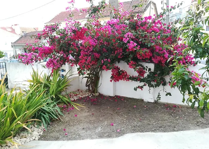 Casa Do Cristo Rei